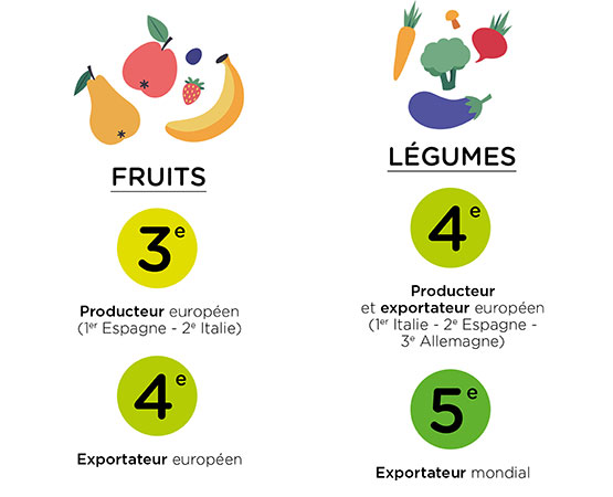 Infographie sur les positions françaises dans l'agriculture européenne et mondiale